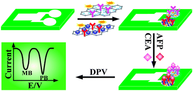 Graphical abstract: A branched electrode based electrochemical platform: towards new label-free and reagentless simultaneous detection of two biomarkers