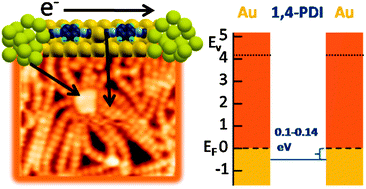 Graphical abstract: Linking gold nanoparticles with conductive 1,4-phenylene diisocyanide–gold oligomers