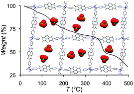 Graphical abstract: Anion-directed assembly of a non-interpenetrated square-grid metal–organic framework with nanoscale porosity