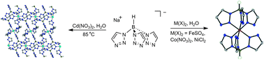 Graphical abstract: The final unadorned tris(azolyl)borate: finishing what Trofimenko started in 1966