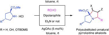 Graphical abstract: Multicomponent synthesis of unnatural pyrrolizidines using 1,3-dipolar cycloaddition of proline esters