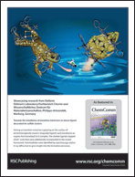 Graphical abstract: Inside back cover