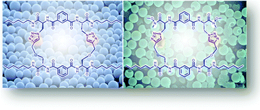 Graphical abstract: Self-assembly of lipidated pseudopeptidic triazolophanes to vesicles