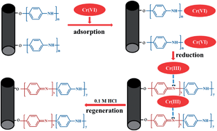 Graphical abstract: Polyaniline coating on carbon fiber fabrics for improved hexavalent chromium removal