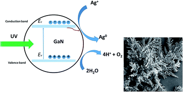 Graphical abstract: Reagent-free photochemical silver dendrite synthesis on a gallium nitride thin film as a SERS-active substrate and catalytic cluster