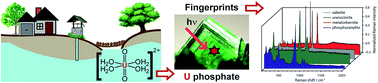 Graphical abstract: Spectroscopic markers for uranium(vi) phosphates: a vibronic study