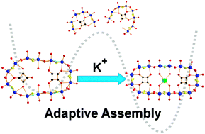 Graphical abstract: Exploiting the equilibrium dynamics in the self-assembly of inorganic macrocycles based upon polyoxothiometalate building blocks