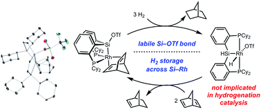 Graphical abstract: Examining the role of Rh/Si cooperation in alkene hydrogenation by a pincer-type [P2Si]Rh complex