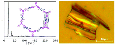 Graphical abstract: A two-dimensional conjugated polymer framework with fully sp2-bonded carbon skeleton