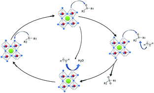 Graphical abstract: Alkaline niobates ANbO3 (A = Li, Na, K) as heterogeneous catalysts for dipropyl sulfide oxidation