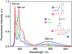 Graphical abstract: Folded short azapeptide for conformation switching-based fluorescence sensing