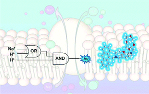 Graphical abstract: A fluorescent combinatorial logic gate with Na+, H+-enabled OR and H+-driven low-medium-high ternary logic functions