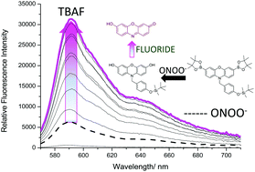 Graphical abstract: ‘AND’-based fluorescence scaffold for the detection of ROS/RNS and a second analyte