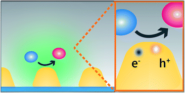 Graphical abstract: Monitoring plasmonic hot-carrier chemical reactions at the single particle level