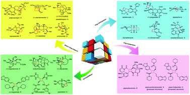 Graphical abstract: Recent advances in the total synthesis of cyclobutane-containing natural products