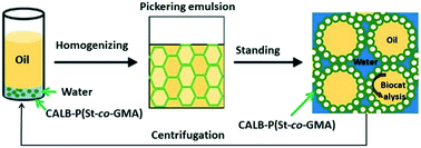 Graphical abstract: Pickering gel emulsion stabilized by enzyme immobilized polymeric nanoparticles: a robust and recyclable biocatalyst system for biphasic catalysis