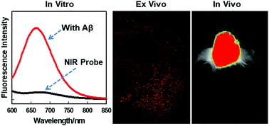 Graphical abstract: Versatile fluorescent probes for near-infrared imaging of amyloid-β species in Alzheimer's disease mouse model