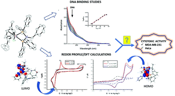 Graphical abstract: Electrochemical, mechanistic, and DFT studies of amine derived diphosphines containing Ru(ii)–cymene complexes with potent in vitro cytotoxic activity against HeLa and triple-negative breast cancer cells MDA-MB-231