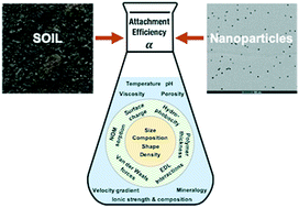 Graphical abstract: Nanoparticle affinity for natural soils: a functional assay for determining particle attachment efficiency in complex systems