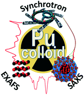 Graphical abstract: Relevance of formation conditions to the size, morphology and local structure of intrinsic plutonium colloids