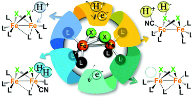 Graphical abstract: Catalytic H2 evolution/oxidation in [FeFe]-hydrogenase biomimetics: account from DFT on the interplay of related issues and proposed solutions