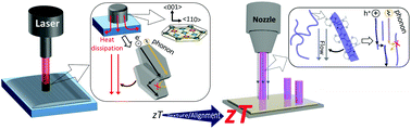 Graphical abstract: Boosting the performance of printed thermoelectric materials by inducing morphological anisotropy