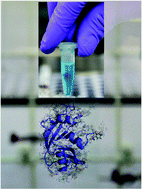 Graphical abstract: Chemical methods for modification of proteins