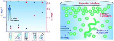 Graphical abstract: Effects of sedimentation, microgravity, hydrodynamic mixing and air–water interface on α-synuclein amyloid formation