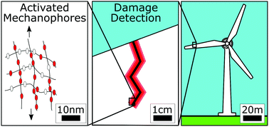 Graphical abstract: An engineer's introduction to mechanophores