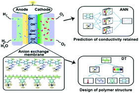 Graphical abstract: Machine learning analysis and prediction models of alkaline anion exchange membranes for fuel cells