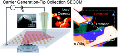 Graphical abstract: Electrochemically probing exciton transport in monolayers of two-dimensional semiconductors