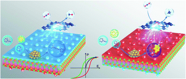 Graphical abstract: Catalysis based on ferroelectrics: controllable chemical reaction with boosted efficiency