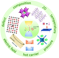 Graphical abstract: Ab initio nonadiabatic molecular dynamics of charge carriers in metal halide perovskites