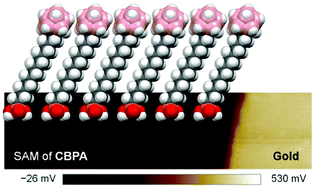 Graphical abstract: Self-assembled dipoles of o-carborane on gate oxide tuning charge carriers in organic field effect transistors