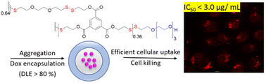 Graphical abstract: Hyperbranched vs. linear poly(disulfide) for intracellular drug delivery