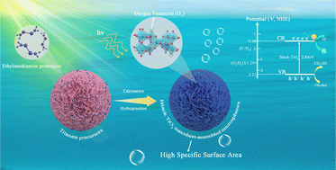 Graphical abstract: Ultrathin black TiO2 nanosheet-assembled microspheres with high stability for efficient solar-driven photocatalytic hydrogen evolution