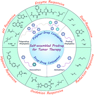 Graphical abstract: Stimulus-responsive self-assembled prodrugs in cancer therapy