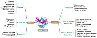 Graphical abstract: Recent advances in plant protein modification: spotlight on hemp protein