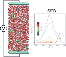 Graphical abstract: Water dynamics and sum-frequency generation spectra at electrode/aqueous electrolyte interfaces