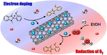 Graphical abstract: Study of the electron-doping mechanism in single-walled carbon nanotubes using dimethylbenzimidazole