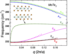 Graphical abstract: Lattice vibration modes and electron–phonon interactions in monolayer vs. bilayer of transition metal dichalcogenides