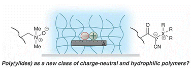 Graphical abstract: The case for poly(ylides) as a class of charge-neutral, hydrophilic polymers with applications in biomaterials science