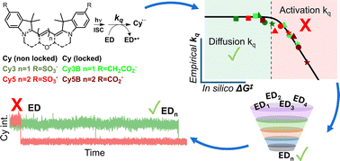 Graphical abstract: In silico screening of photostabilizing reagents for cyanine-based single molecule fluorescence