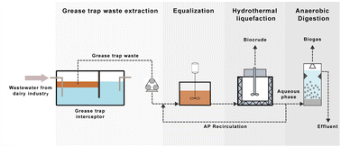Graphical abstract: Grease trap waste valorization through hydrothermal liquefaction and anaerobic digestion: a circular approach to dairy wastewater treatment