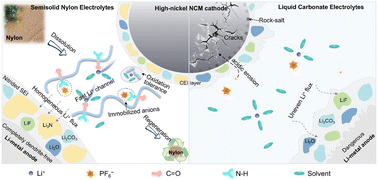 Graphical abstract: Nylon electrolyte chemistry in high-energy Li-metal batteries