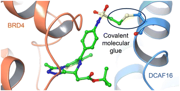 Graphical abstract: Synthetic modification of protein surfaces to mediate induced-proximity pharmacology