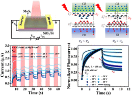 Graphical abstract: The role of trap states in MoS2-based photodetectors
