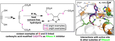 Graphical abstract: 1,4,5-Trisubstituted-carboxylated 1,2,3-triazoles: an unconventional class of ribonuclease A inhibitors