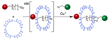 Graphical abstract: Synthesis of cyclic peptide-based [2]rotaxanes via copper-catalyzed azide–alkyne cycloaddition