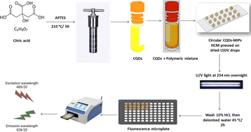 Graphical abstract: Development of a paper-based fluorescent carbon quantum dots MIPs sensor for selective detection of lumpy skin disease virus